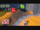 【実況】ポケモン三十路紅【part55】