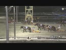 2024年1月27日帯広競馬11R ミツウマオーセンティック杯(OP-1) メムロボブサップ