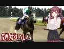 【WinningPost10】牝系で紡ぐ馬主生活 21年目前【ソフトウェアトーク実況プレイ】