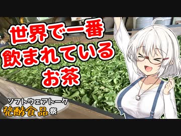 【ソフトウェアトーク発酵料理祭】世界で一番飲まれているお茶って？