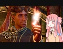 お姉ちゃん悪魔と遭遇する【バルダーズゲート3】♯06