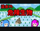 【VOICEROID解説】ゆかり先輩と見る危険生物【淡水編③】
