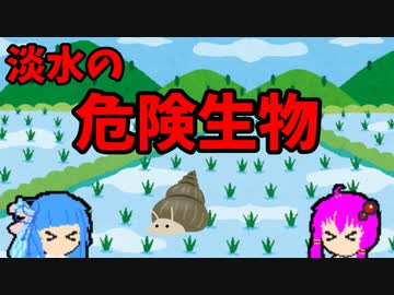 【VOICEROID解説】ゆかり先輩と見る危険生物【淡水編③】