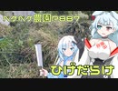 2024年1月27日　農作業日誌P887　りゅのひげを集めながら法面づくりを頑張る