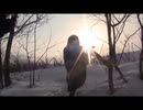 HAMMERFALL-The Dragon Lies Bleeding　カバー　おかま