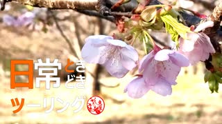 日常ときどきツーリング　【静岡県”伊東温泉めちゃくちゃ市”と”桜”】