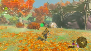 【Switch】リンクがゾナウとゼルダ探し旅【プレイ動画】part136