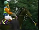ミホシンザン　1985年　第46回菊花賞