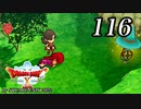 ドラゴンクエストＸオフライン～目覚めし五つの種族【初見プレイ】Scene116