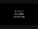 ボンボンズの月一肉の日動画　R6年1月　マリオカート8DX