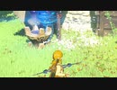 【ブレワイ】依頼を受けて、ハテノ研究所の青い炎をつけてすぐ消してプルアちゃんに会ってみた【ドリカラ】【ボイスピ実況,ゼルダの伝説,ブレスオブザワイルド,BotW】