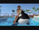 【DoaX3/ヒトミ】ポール・グラビアパラダイス ヒトミ