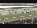 2011 きさらぎ賞　トーセンラー　オルフェーヴルは3着
