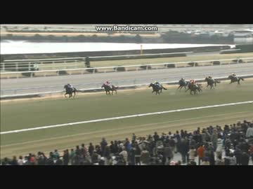 【期限切れ単勝馬券】　きさらぎ賞　2011 オルフェーヴル　ウマ娘 2011 きさらぎ賞 トーセンラー オルフェーヴルは3着 - ニコニコ動画