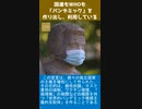 国連もWHOも「パンデミック」を作り出し、利用している