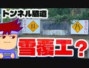ユキワキ編。【バーチャルいいゲーマー佳作選】