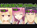 【リドルジョーカー(エロゲ)】16　天国で癒されてたのに地獄に堕ちた【ゆずソフト】