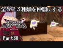 全５２３種類を仲間にするドラゴンクエストモンスターズ３【Part38】