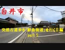 【散歩】千葉県白井市中-富塚を歩く【突然古道歩き「鮮魚街道」を行くⅡ編 part 5】