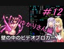 [安定版 0.G]安定を目指すCataClysm:DDA 壁の中のビデオブロガーゆかりさん編 パート12