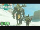 どう見てもライネルやん　「ゼルダの伝説～ティアーズ・オブ・ザ・キングダム」　＃69