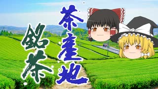 【10府県】 日本茶の産地を一挙解説　～地域ブランドの銘茶も紹介～