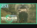 #233【ゼルダの伝説ティアーズオブザキングダム】ちょっと世界を翔けてくる【実況プレイ】