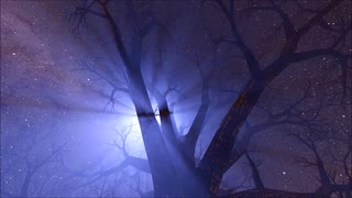 Claude Debussy - Clair_de_Lune Suite bergamasque №３(クロード・ドビュッシー - 月の光 ベルガマスク組曲 第３曲)Pf.つぅまっち