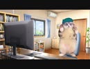 【猫マニ】バトオペにドハマりした猫の日常【猫ミーム】
