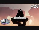 【実況】ワンダーパワーで喋花虐が止まらない【スーパーマリオブラザーズワンダー】#30