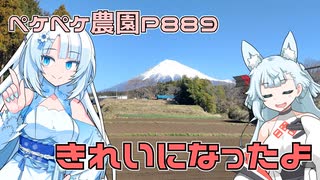 2024年1月29日　農作業日誌P889　ジャガイモの植え付け前の準備作業