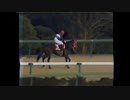 1989年 第30回 AJC杯（GⅡ）ランニングフリー