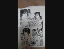 City Hunter