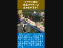ワクチン党の食品ワクチンは止められるか？-1