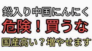 シェディング、ワクチン解毒法。酸化グラフェンを排出するニンニクの注意点。中国産のニンニクが安い理由。下水道で栽培、漂白剤、鉛入り。国産は高い？自分で増やそう