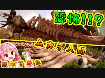 【単発】琴葉姉妹の芸術日和♪【SONS OF THE FOREST / ボイスロイド実況】