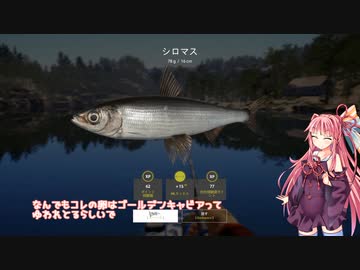 茜お姉ちゃんが川釣りのバイトをする話　2024：1月号