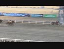 2024年1月30日川崎競馬11R 第２１回佐々木竹見カップジョッキーズＧＰ ヴィクトリーチャレンジ(B3) イデアミラーグロ
