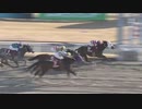 2024年1月30日川崎競馬9R 第２１回佐々木竹見カップジョッキーズＧＰ マイスターチャレンジ(C2) ティーケーメイト