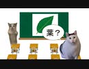 名前当てクイズに挑戦するhuh?キャット