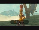ゼルダの伝説　ブレス オブ ザ ワイルド　実況プレイPart174