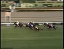1992年(平成4年)第37回有馬記念 メジロパーマー