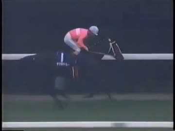 第112回　天皇賞優勝　サクラチトセオー　1995.10.29 Amazon | テレホンカード テレカ サクラチトセオー号 第112回