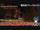 【DDDA】チトチトのドラゴンズドグマ：ダークアリズン微初見プレイPart14