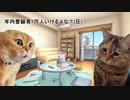 【灰空ぺん】という個人vtuberの末路.meme　#猫ミーム