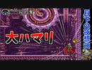 大ハマリ 【月下の夜想曲】PS4等　悪魔城ドラキュラX セレクション