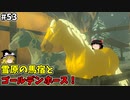 【ゆっくり実況】5度目のゼルダ！ 初めてのティアーズオブザキングダム！ part53【ティアーズオブザキングダム】
