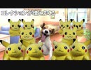 【猫マニ】ぬいぐるみコレクターの日常【猫ミーム】