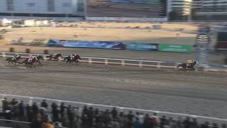 2024年1月31日川崎競馬11R 多摩川オープン(OP) アランバローズ