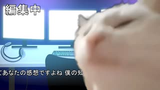 動画編集者がひろゆき切り抜き動画にテロップ入れる仕事をした話【猫マニ】【猫ミーム】